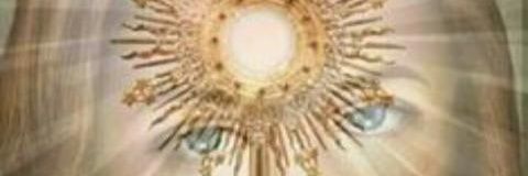 Bella Señora de Coromoto, renueva la Fe banner