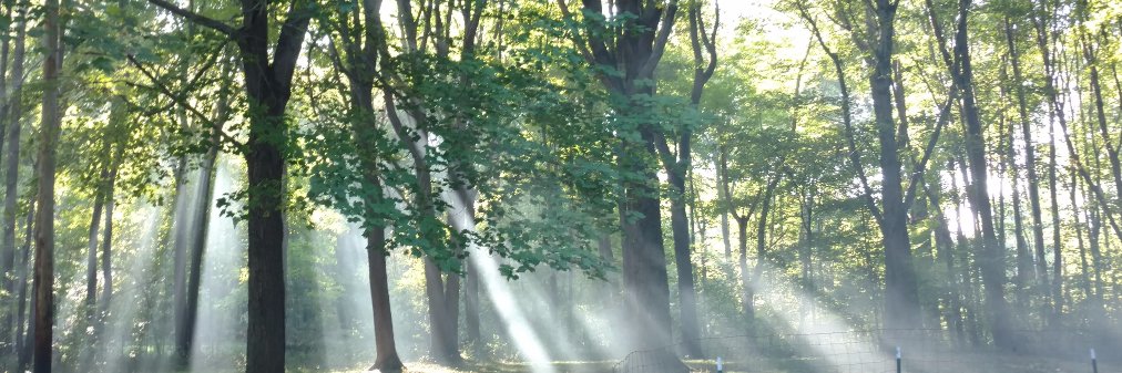 𝕊𝕥𝕦 𝕊𝕝𝕒𝕥𝕖𝕣 banner