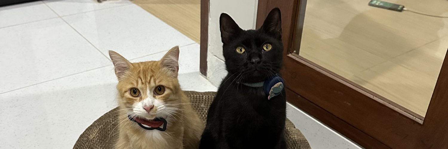 🌧️🌷🌛 banner