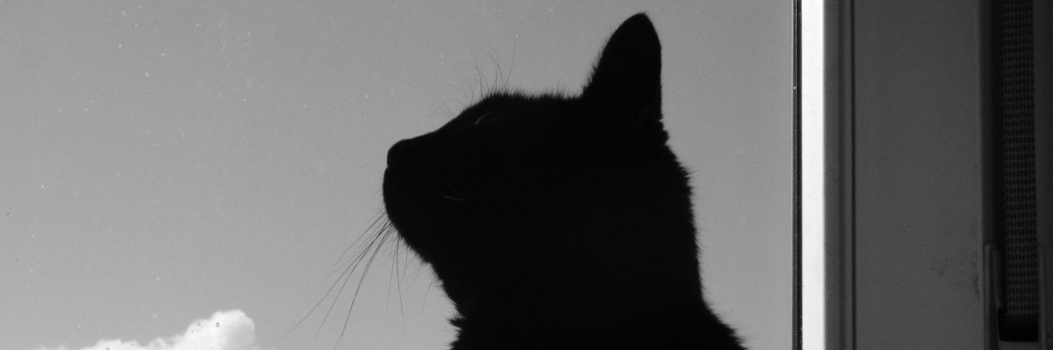 sebasrbt's profile banner image