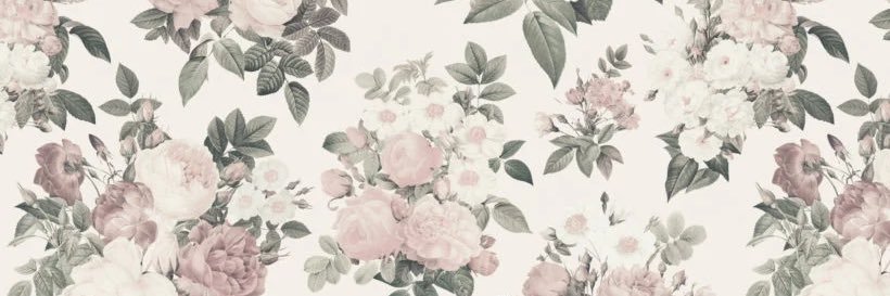 みぃ banner
