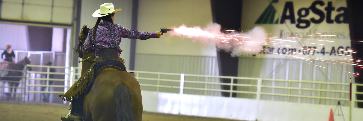 Elise Gaetz Ferguson banner