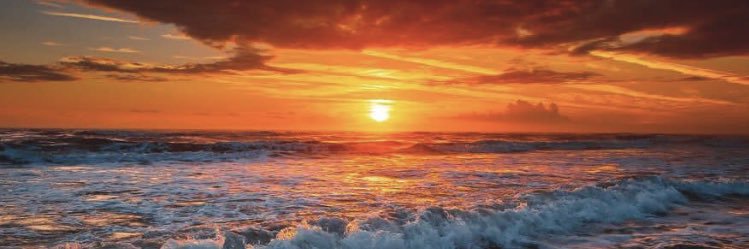 رولا بكر بالحمر banner