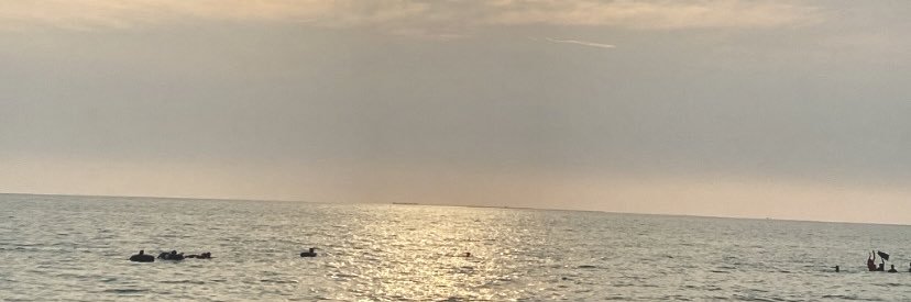 🍸 banner