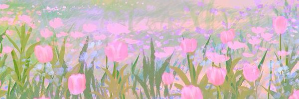 Ljoju6 Profile Banner