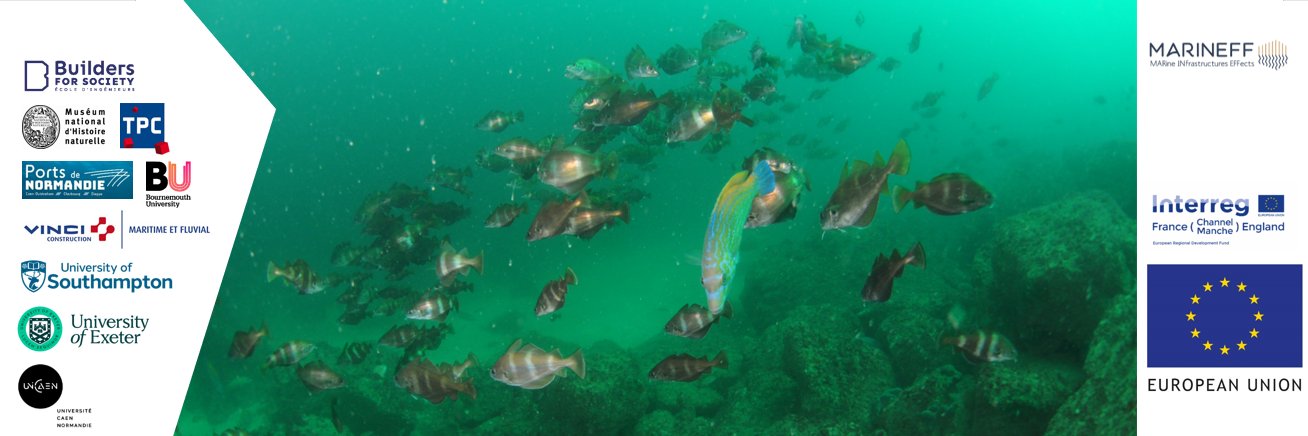 Marineff Project banner