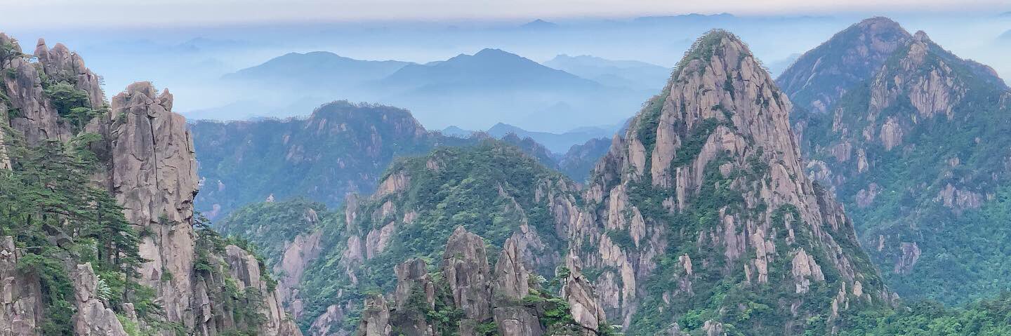 Stephen Field 田笠 banner