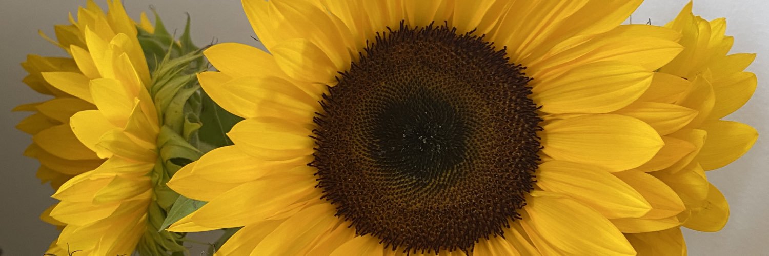 Faith_S's profile banner image