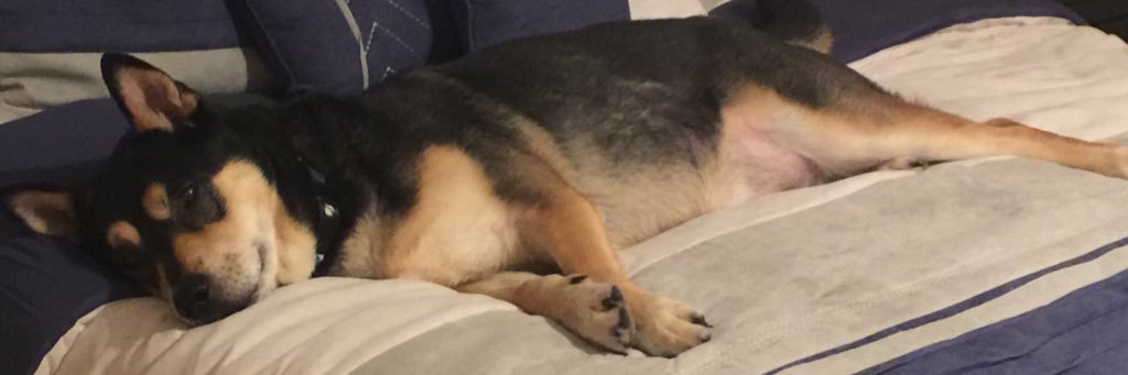 Lawgs's profile banner image