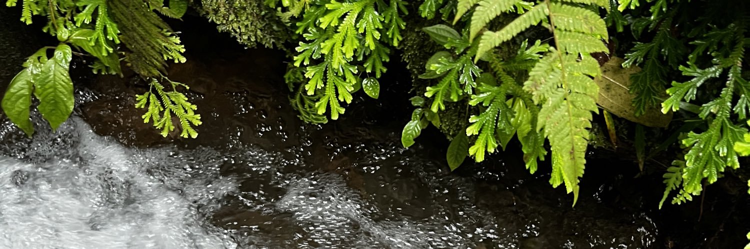 GerardoElox's profile banner image
