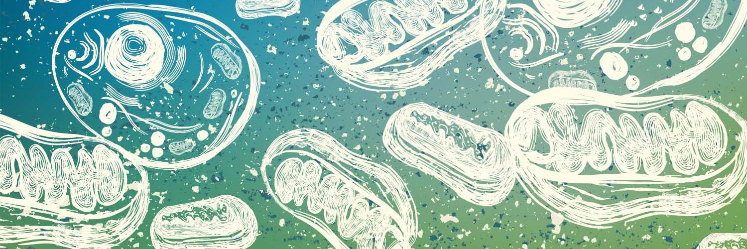 Formentini Lab banner