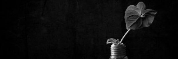 Esther Sanchez banner