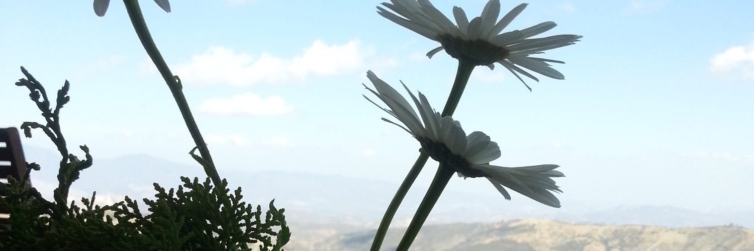 MayLing89's profile banner image