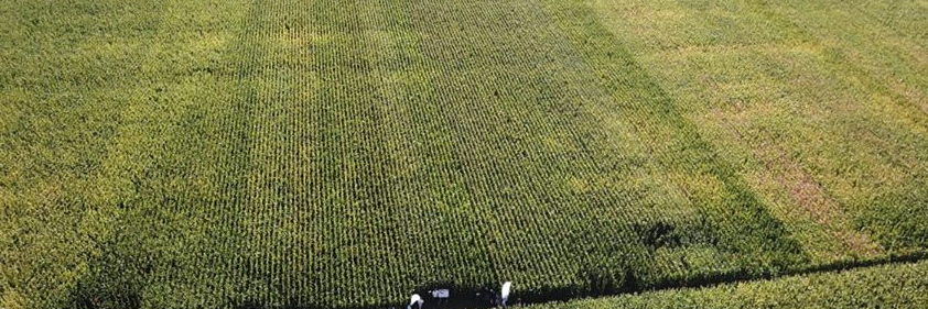 El Malambo Agro SA banner