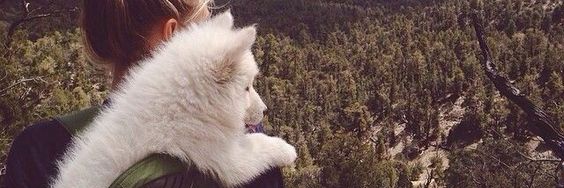 i_cynex's profile banner image