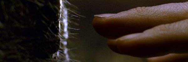 da_steno's profile banner image
