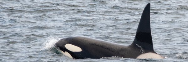 BeenieBurns Profile Banner