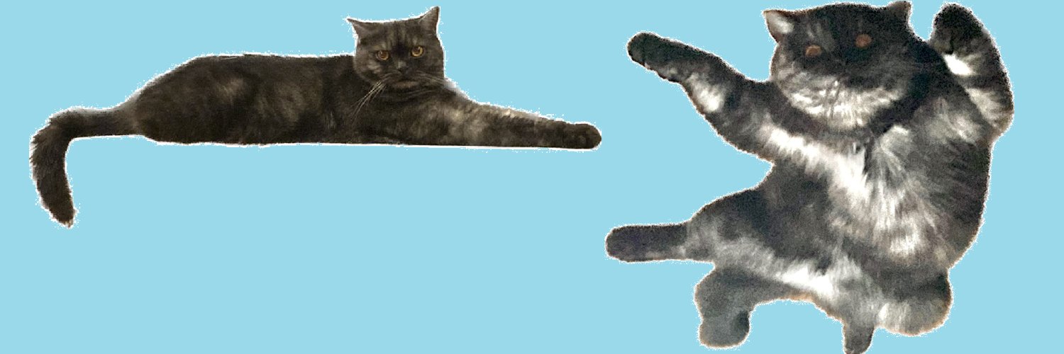 mkSplash's profile banner image