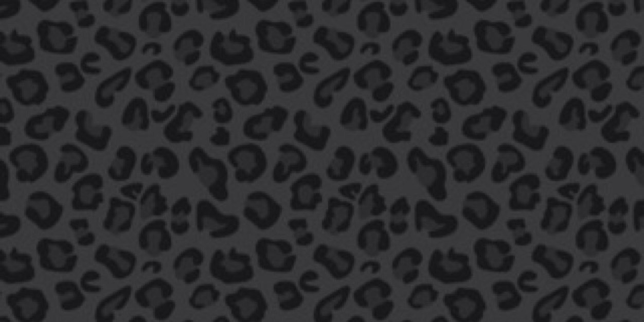 haileyramsay's profile banner image