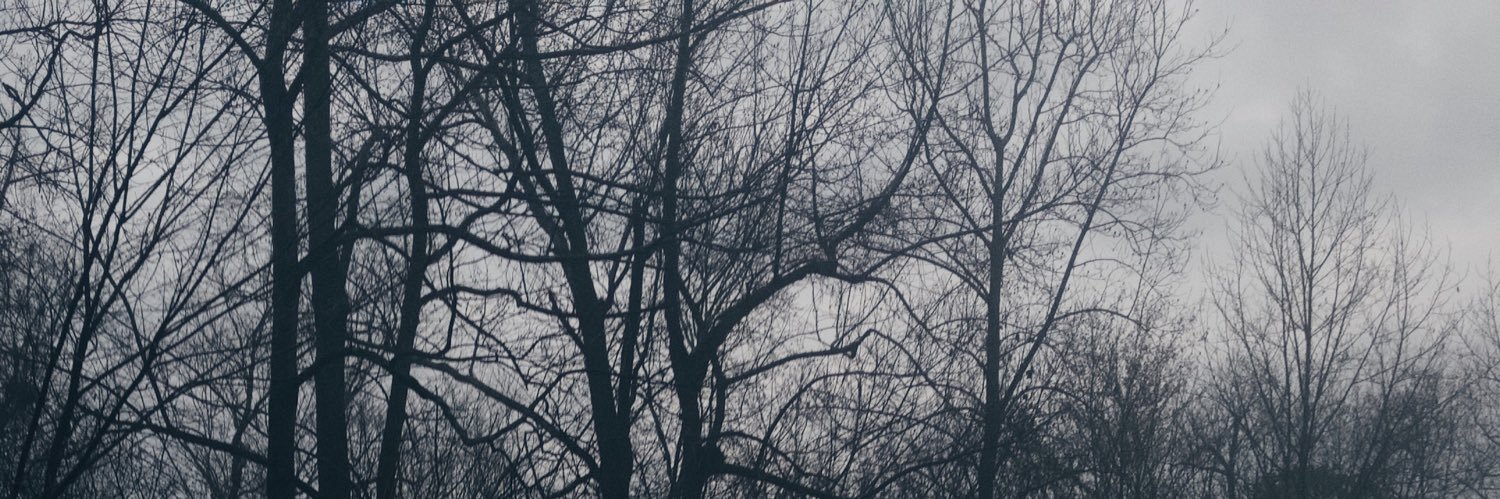 zxnesix's profile banner image