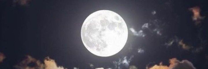 nayanenay's profile banner image
