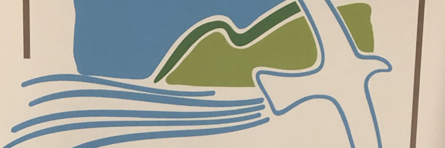 Festival de Música de Setúbal banner