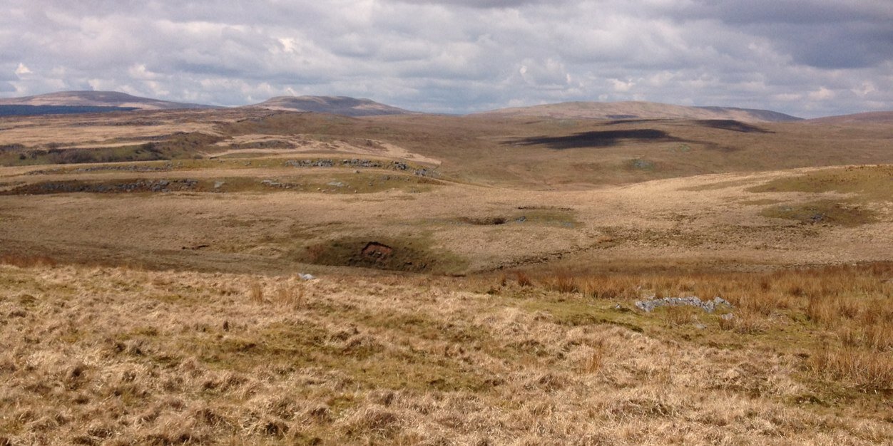 Lester McCalmon banner