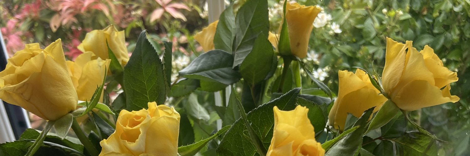 DeniseDeakin's profile banner image