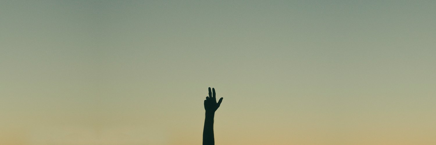 roberneri's profile banner image