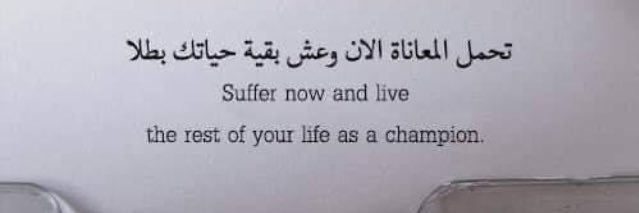 _georgetalaat_'s profile banner image