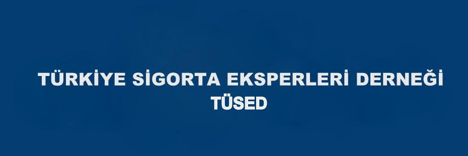 eksperlerderneg's profile banner image