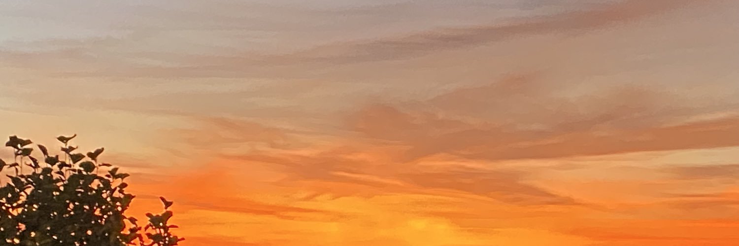 华莱士 · 全鸡汉堡 banner