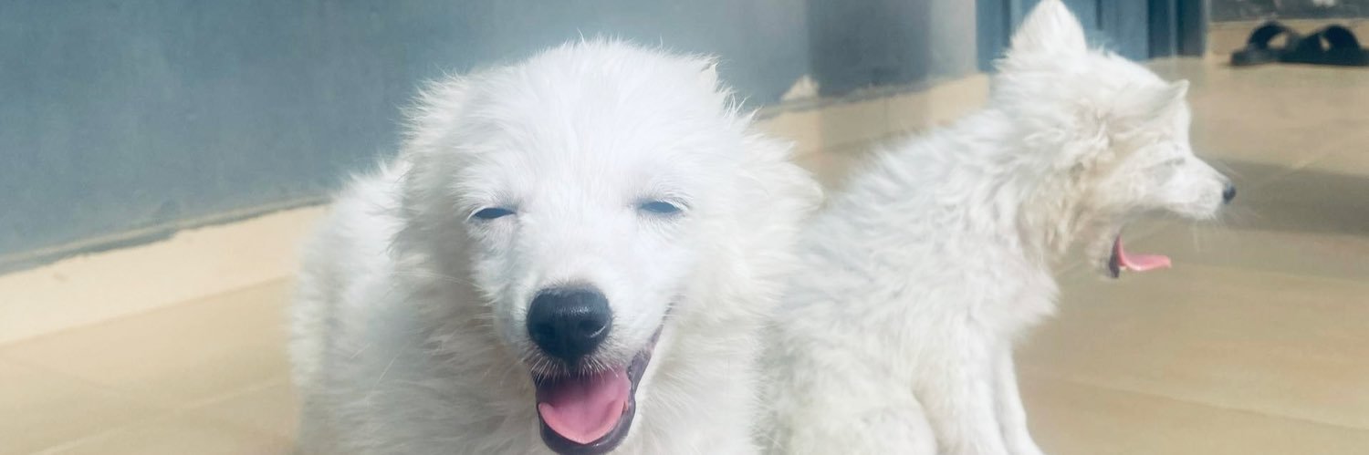 lumi_dee6's profile banner image