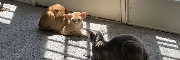 LeegeoF Profile Banner