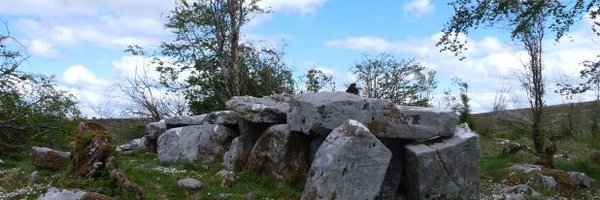 Máire Mhig Shamhráin Profile Banner