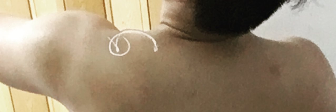 subbearr's profile banner image