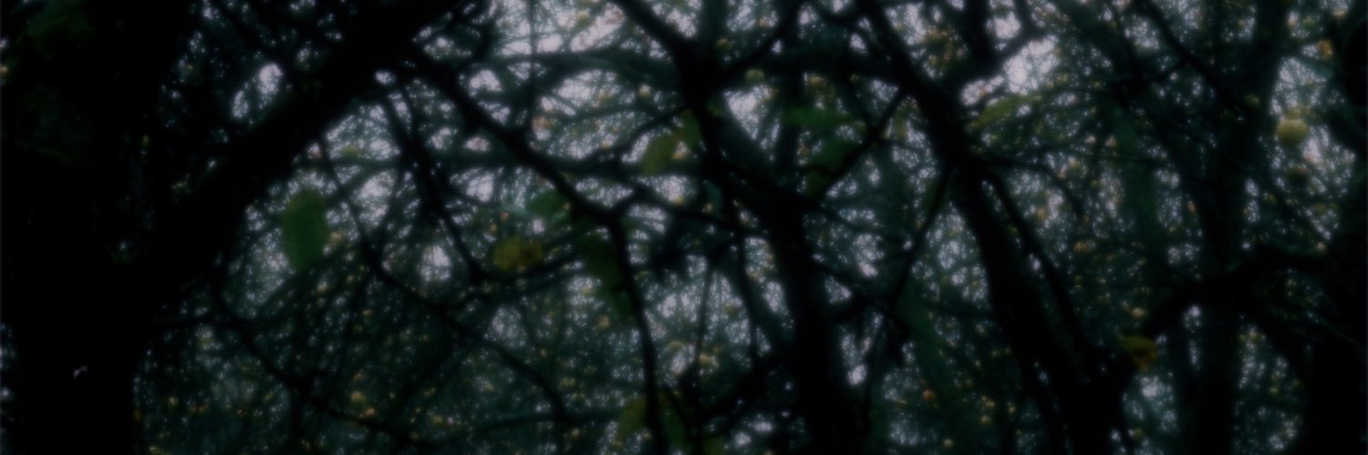 yanadodo's profile banner image