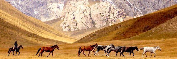 TurkunDunyasi Profile Banner