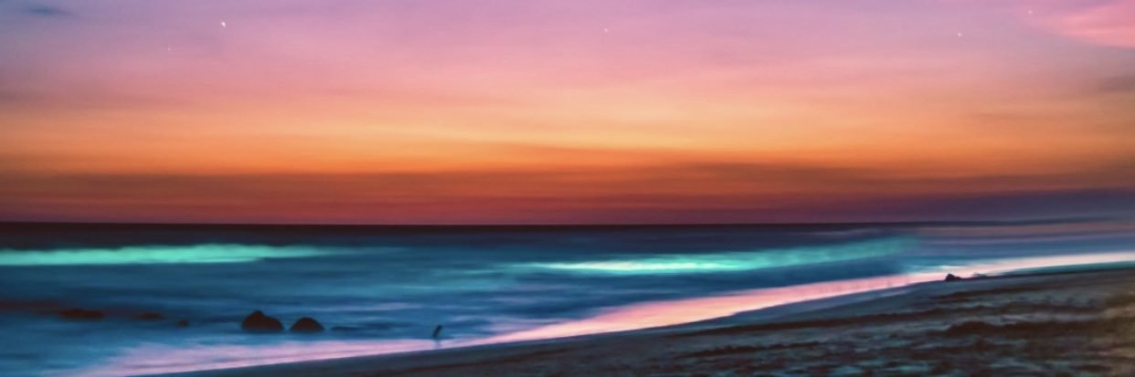 citlali__'s profile banner image