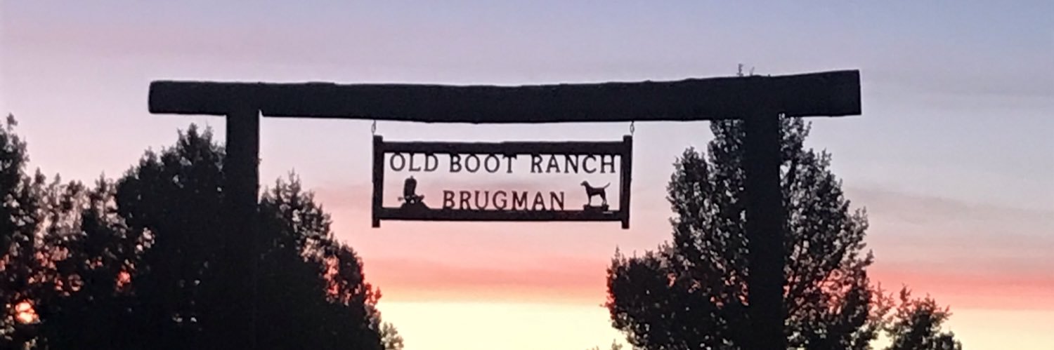 Old Boot Ranch banner