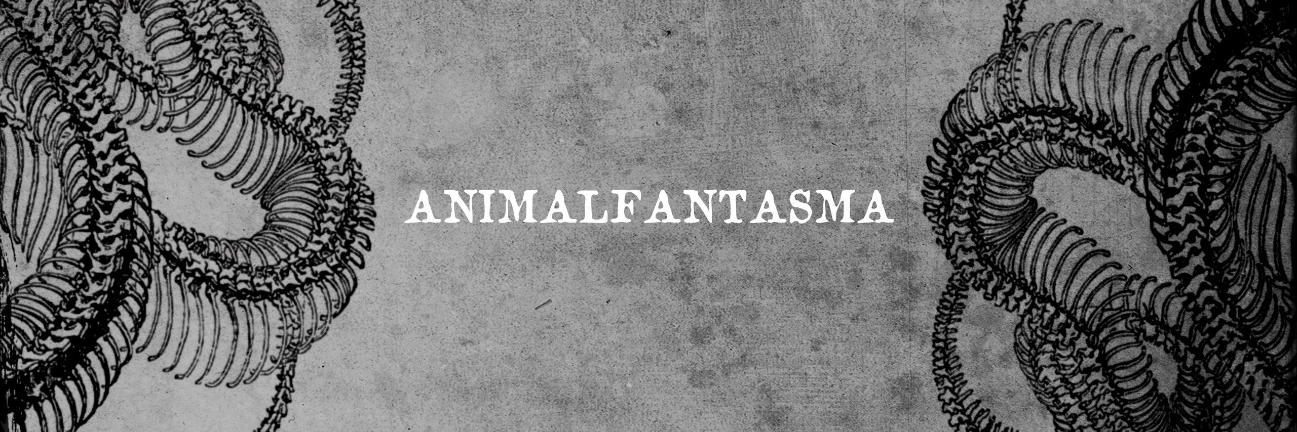 animalfantasma banner