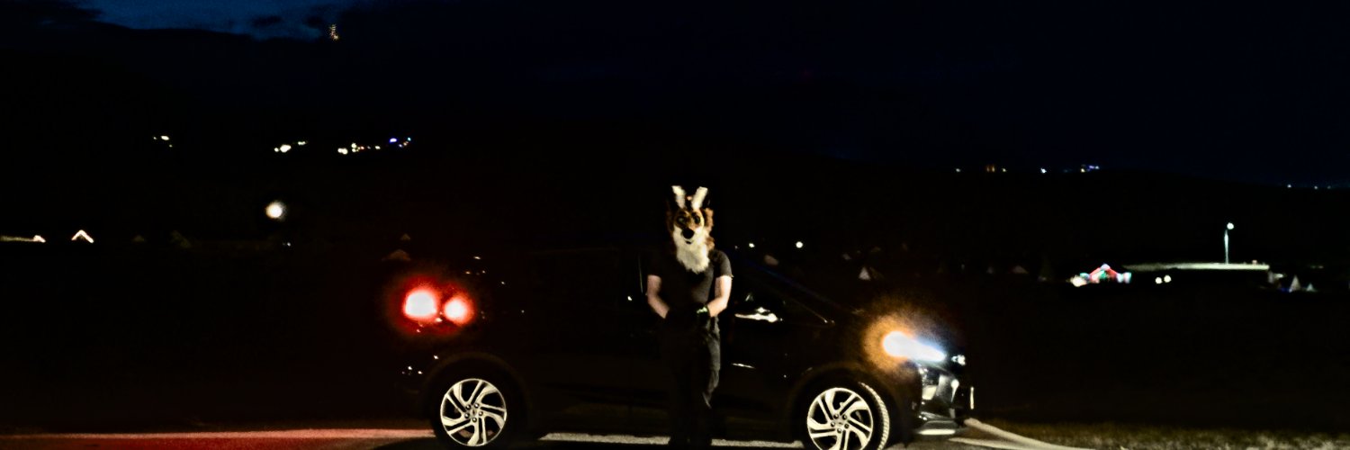 Flimsy Fox, Sat Stacker 🇺🇸 banner