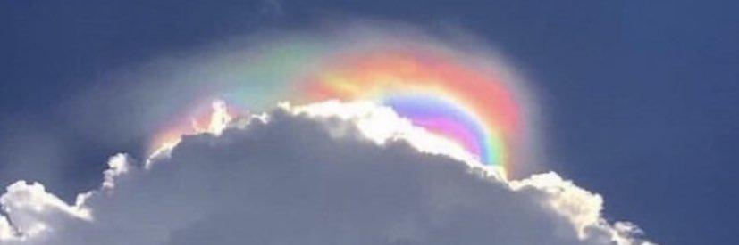 qi1lx's profile banner image