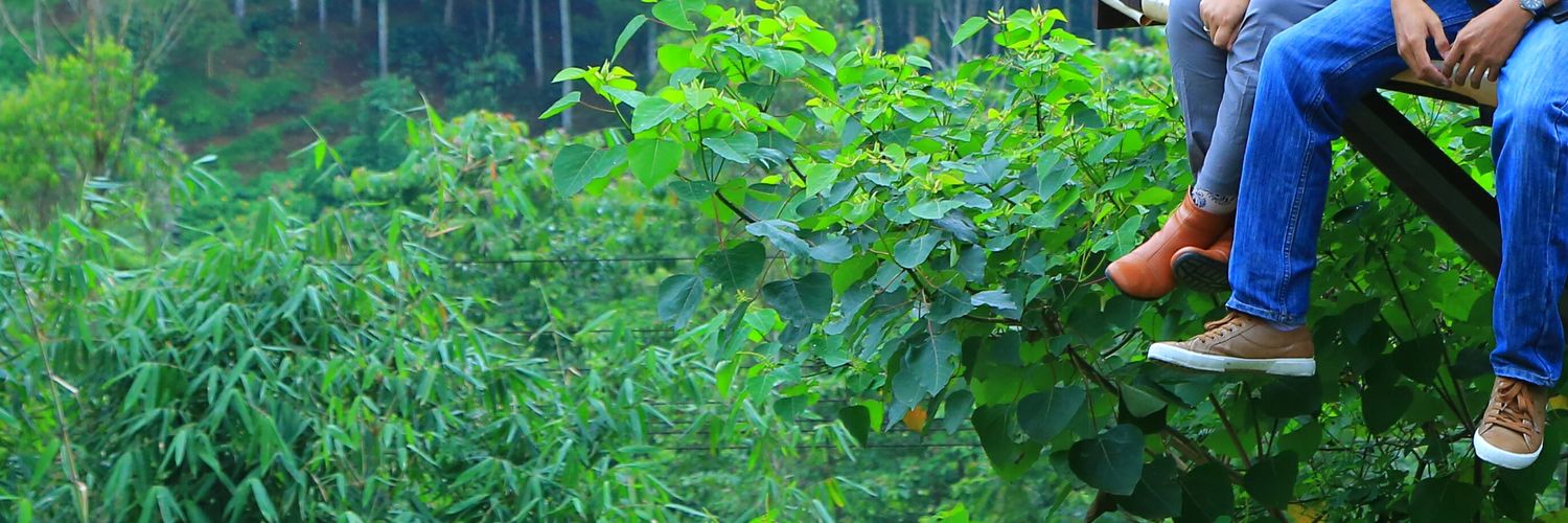 Agung Triady ⭐⭐ banner