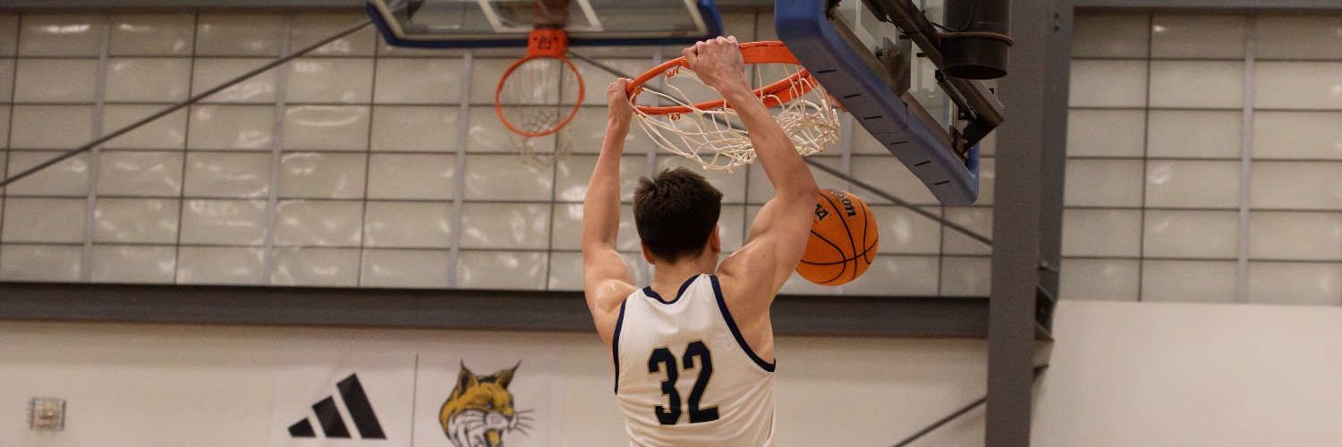 Austin Dewes banner