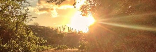 AlvimCassimiro Profile Banner