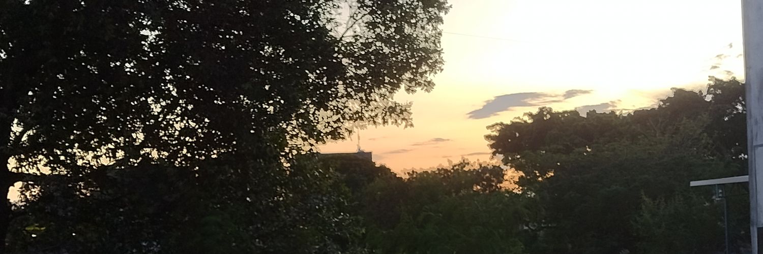 Natth 🌻 banner