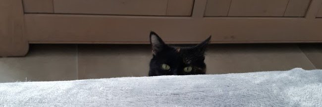 ninousnini severine banner