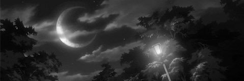 dvmo banner