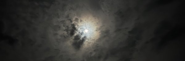 EllenToney5 Profile Banner